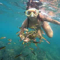 Snorkel con peces en Playa Las Gatas